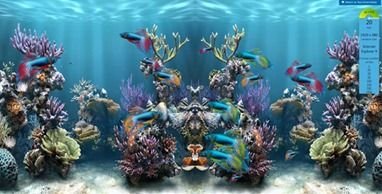 ie9fishtank.jpg ie9fishtank.jpg