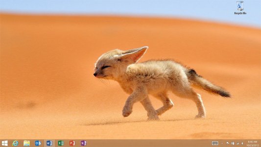 fennec-NatGeo.jpg