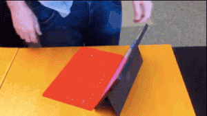 surfacebeak.gif surfacebeak.gif