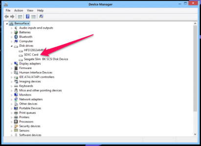 Device manager (Small).PNG