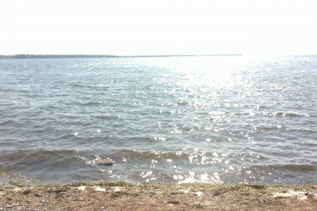 WIN_20140826_152849.JPG