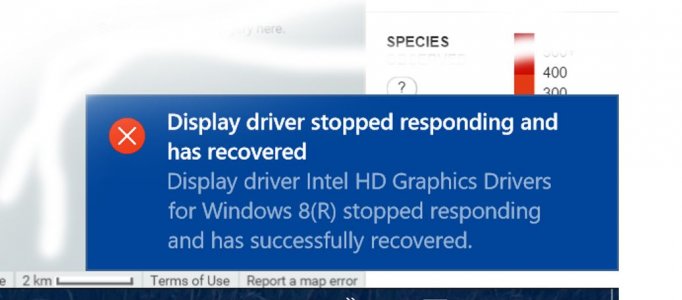 drivee.jpg