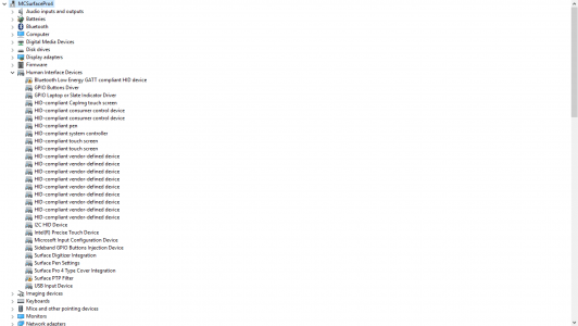 Device Manager 1.png