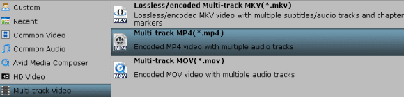 multi-track-mp4.png
